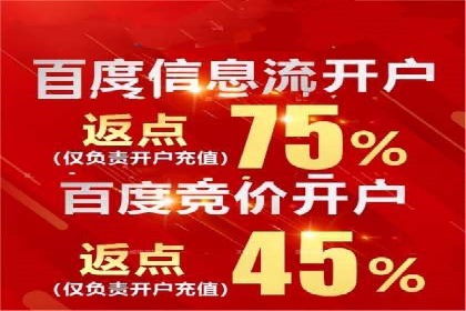 SEM广告投放中的数据监控与调整策略——以某品牌营销案例为例